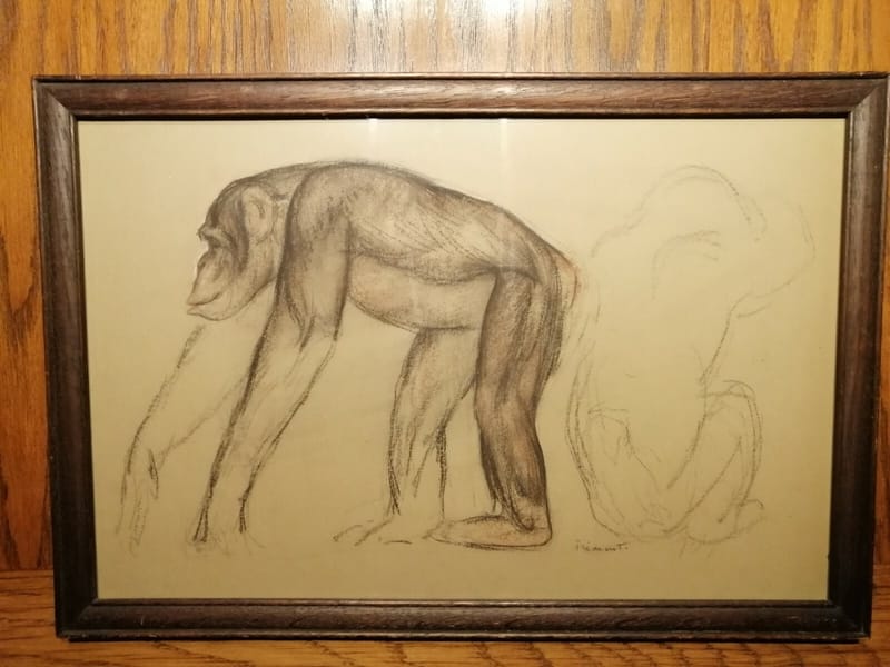 Auguste Trémont 1892 1980 Artiste Luxembourgeois Pastel & Fusain Chimpanzé Singe