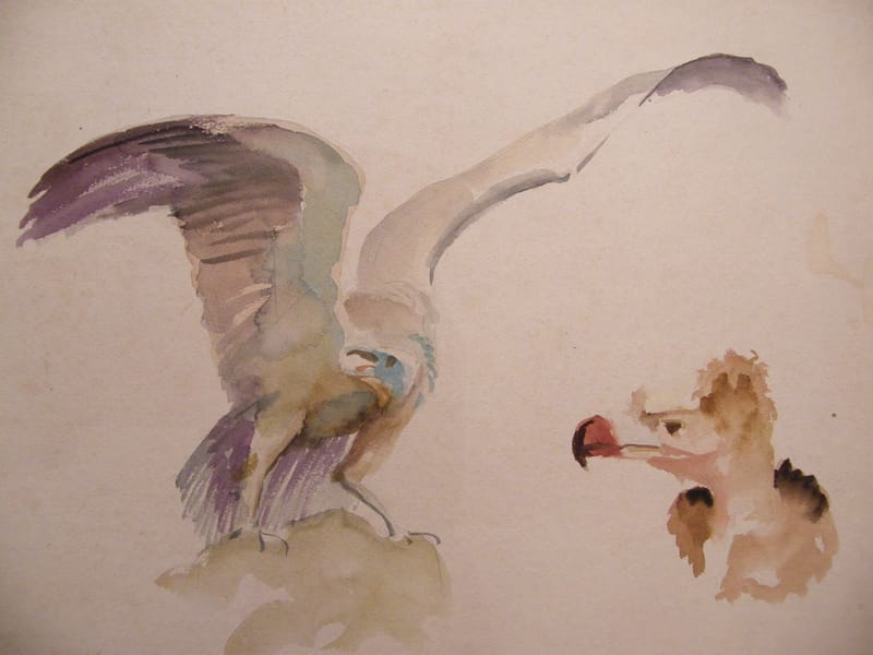 "Aquarelle Aigle André Simon 1926-2014 Artiste Lorrain 1950" — vue 2