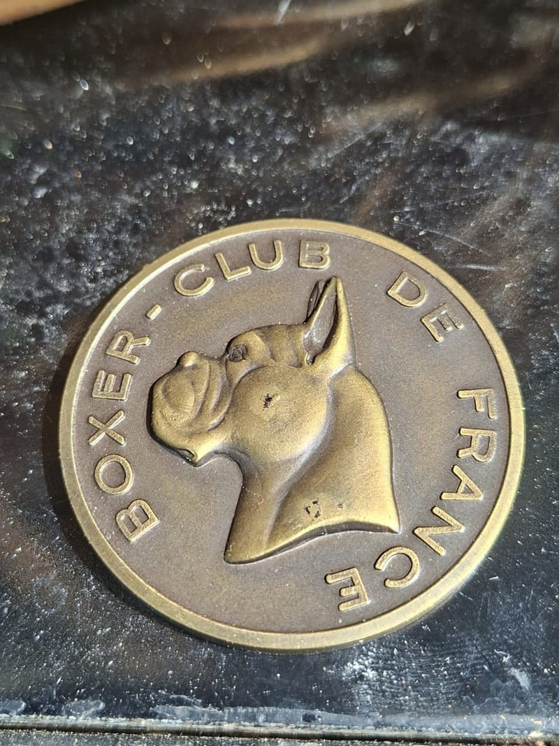 Médaille Bronze Boxer Club France Strasbourg 1922