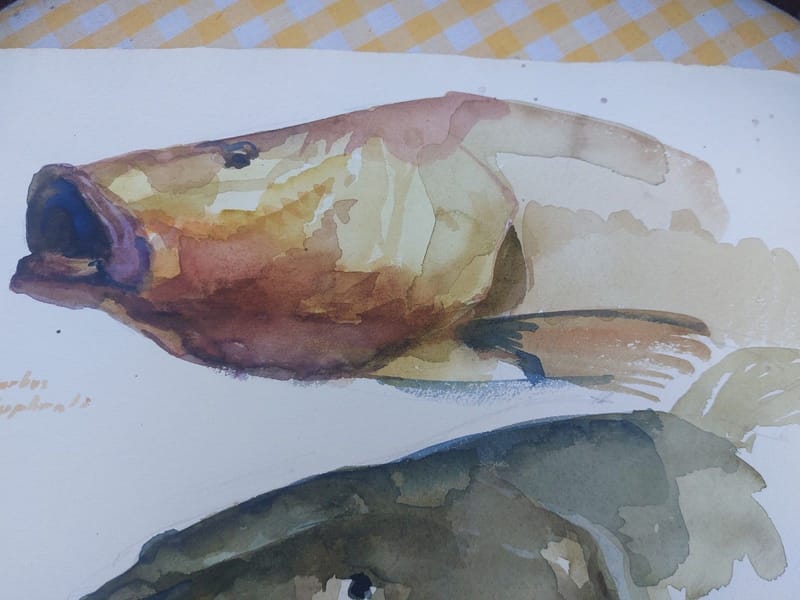 Aquarelle Poissons André Simon 1950 Artiste Lorrain Metz — vue 2
