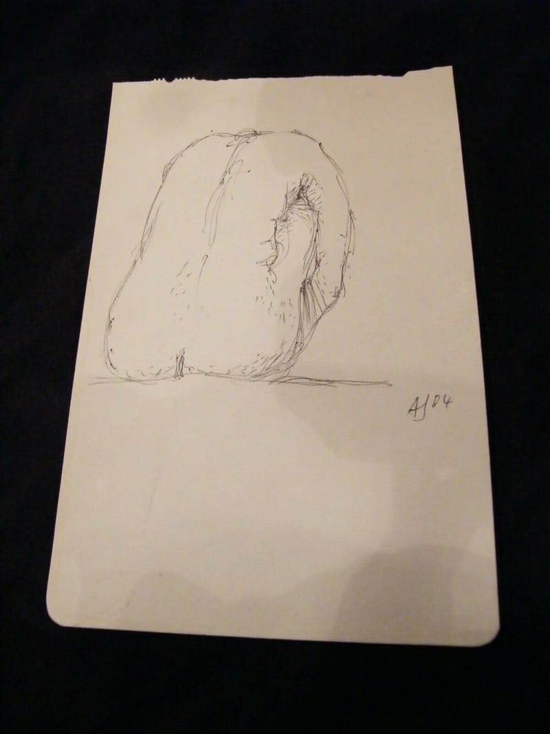 "Croquis au feutre André Simon 1926-2014 Artiste Lorrain Nu de dos 2004"
