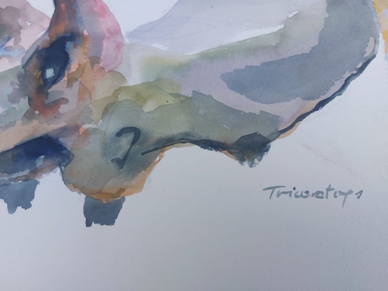 Aquarelle Tricératops André Simon 1950 Artiste Lorrain Metz — vue 2