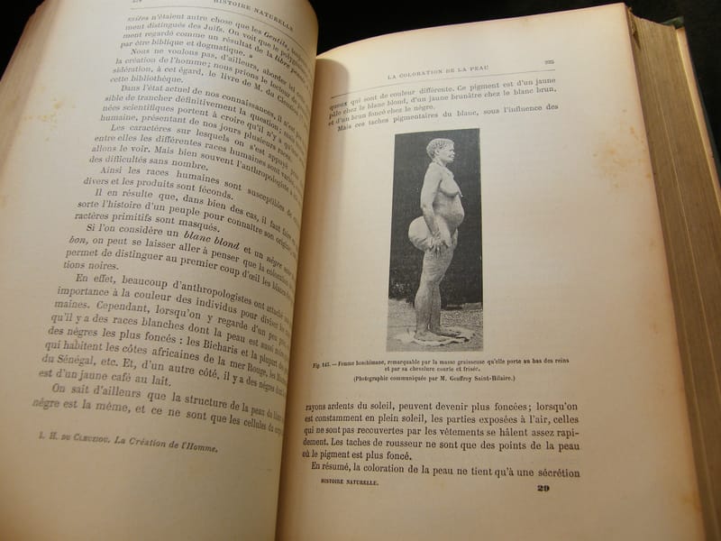 Histoire Naturelle Ch Brongniart 870 Figures Flammarion — view 6 of 7