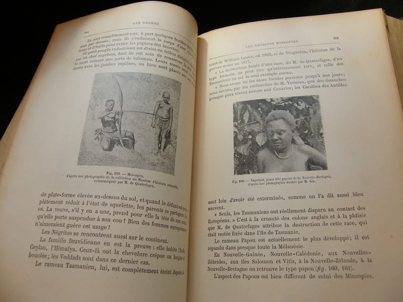 Histoire Naturelle Ch Brongniart 870 Figures Flammarion — view 5 of 7