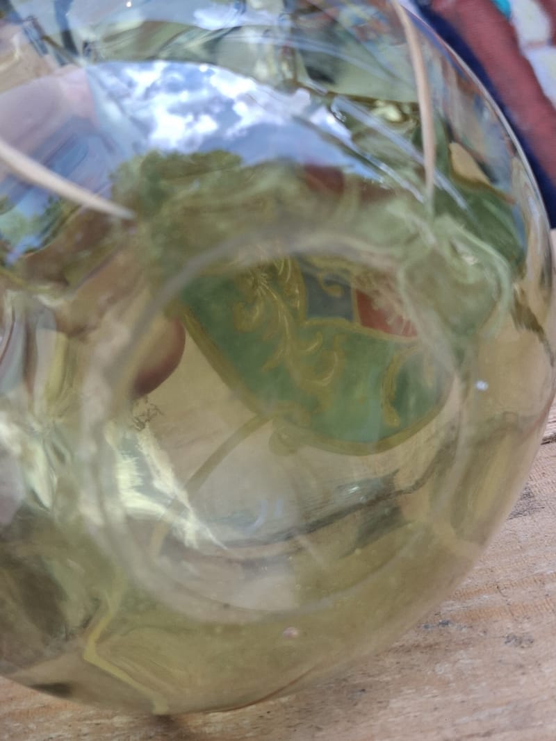 Carafe Verre Blason émaillé Lion debout ancienne — vue 7