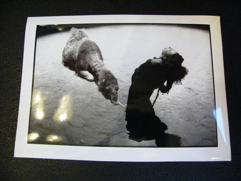 "Photographie Théâtre Zingaro Bartabas Avignon 1991 par Enguerand"