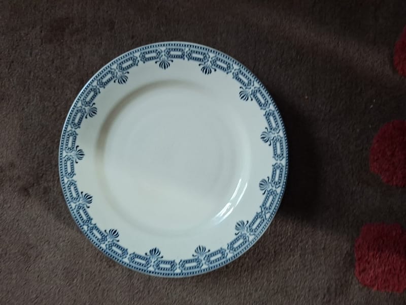 Salins Rivoli Terre de Fer Assiette Talon — vue 2