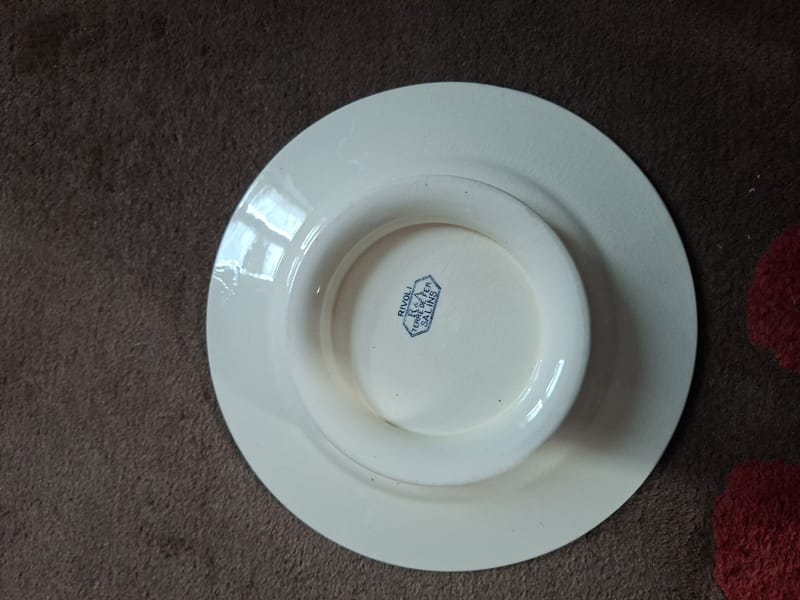 Salins Rivoli Terre de Fer Assiette Talon — vue 3
