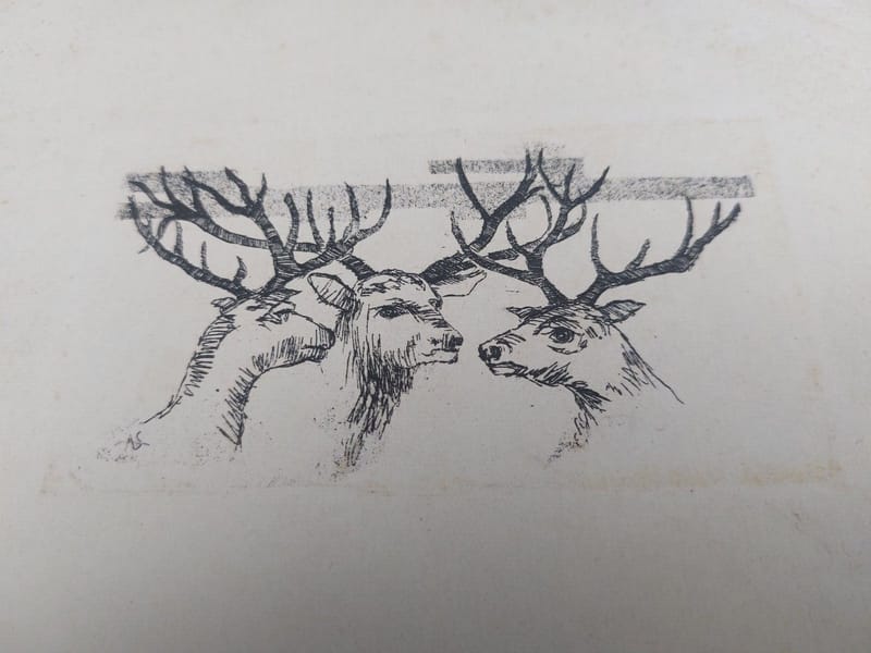 Eau Forte Cerfs André Simon Artiste Lorrain Metz