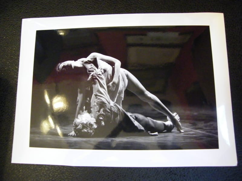"Photographie Danse Le spectre de la rose Preljocaj 1993 par Masson"