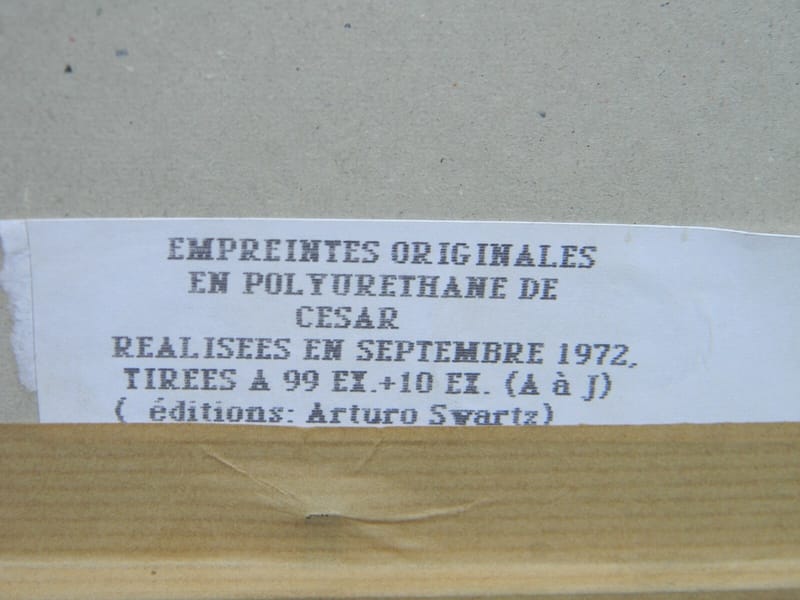 César Baldaccini Empreintes Originales Polyuréthane  1972 Arturo Swartz — vue 5