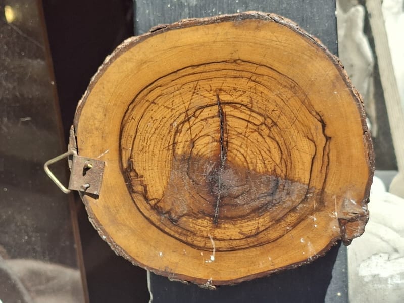 Crucifixion Souvenir Jérusalem Hébreux Bois Olivier Début XX ème siècle — vue 6