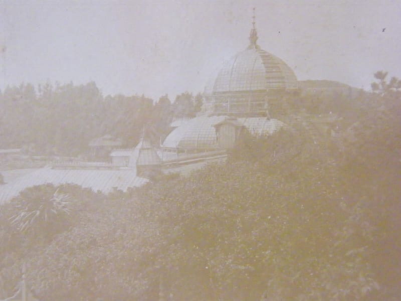 "Photographie Albuminée XIX ème siècle Golden Gate Park  A G Mc Donald" — vue 3