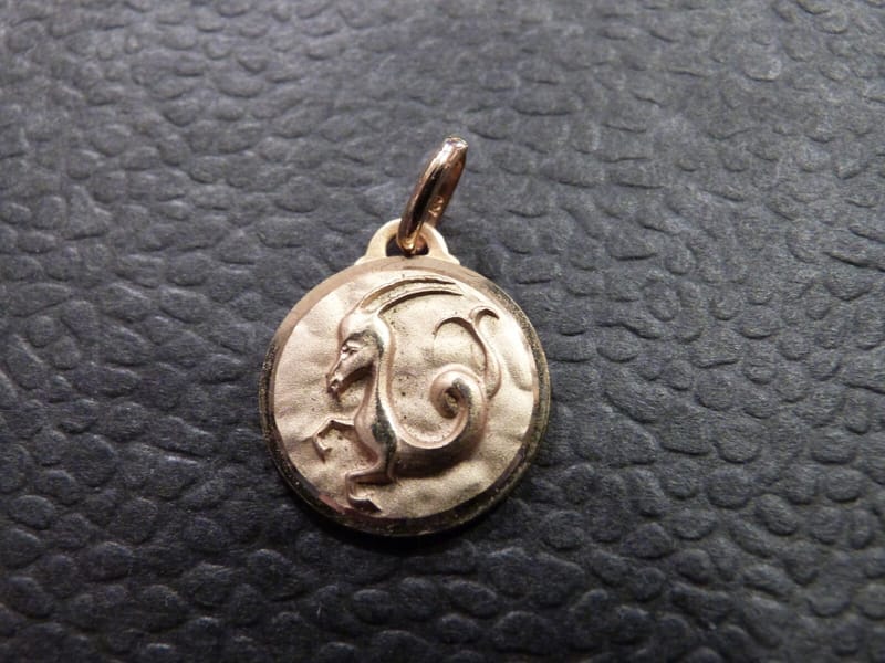 Or Pendentif Médaillon Signe Zodiaque Plaqué Or Capricorne