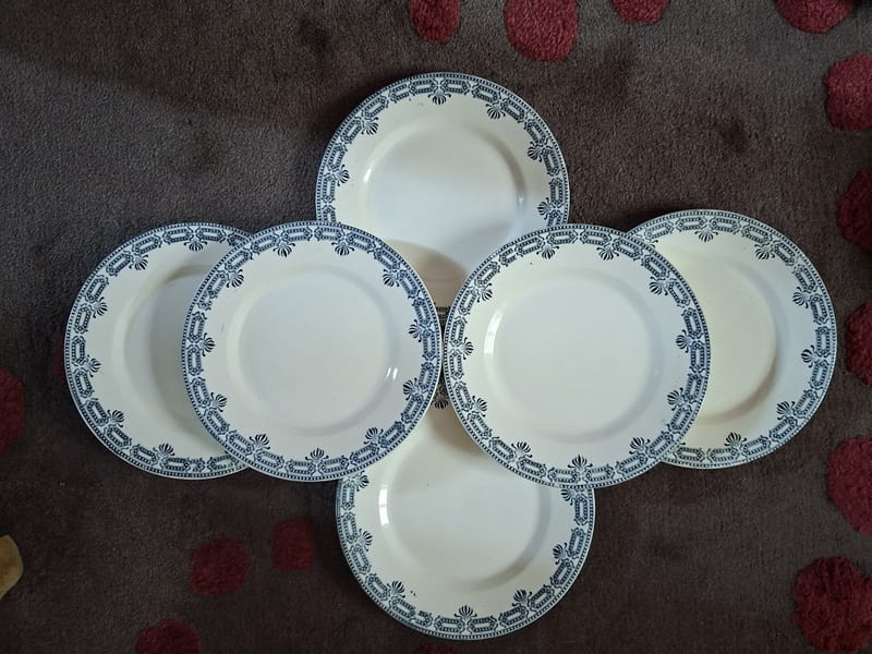 Salins Rivoli Terre de Fer Assiettes Dessert