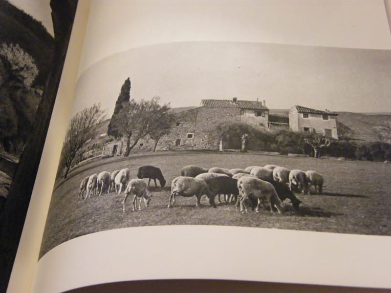Provence Landry 47 Photographies de Rudolf Pestalozzi 1951 — vue 2