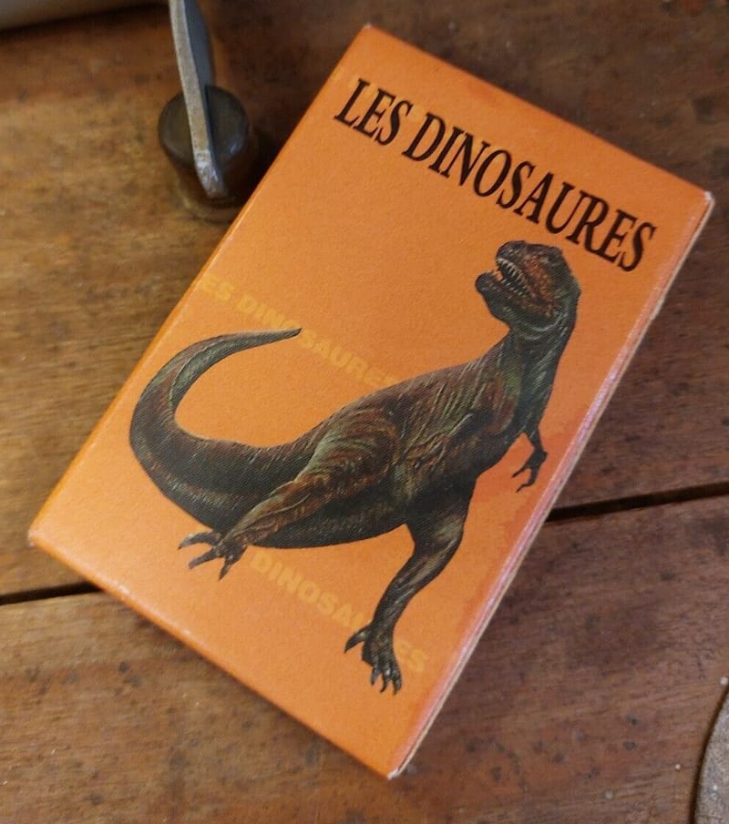 Cartes Dinosaures 7 Familles sous blister
